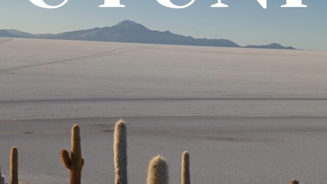 487474226_1218600113601241_7525156891068974947_n