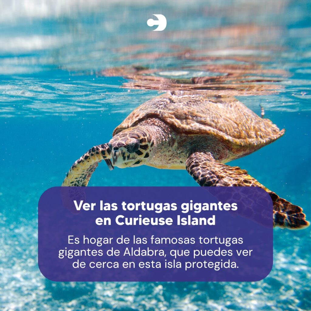 487991264_1076973454470252_9221417293415978710_n