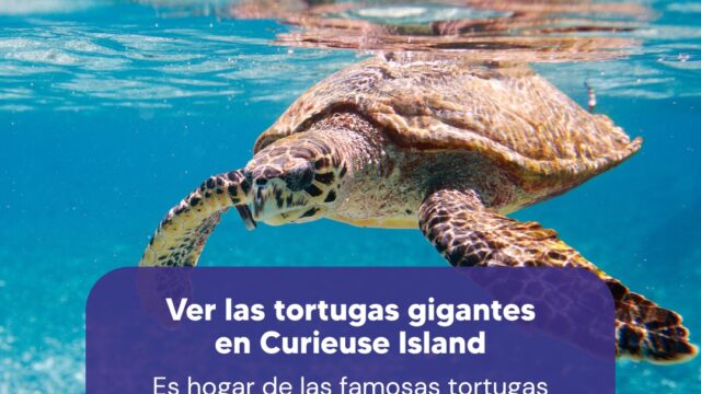 487991264_1076973454470252_9221417293415978710_n