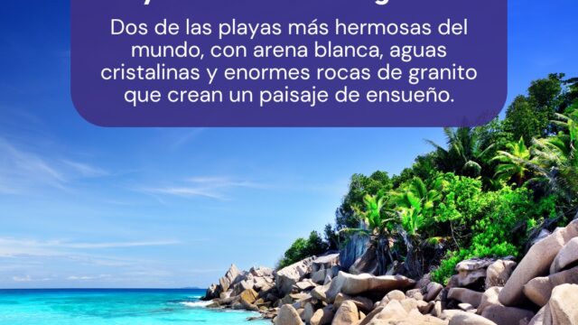 488406095_1076973441136920_4490045213486466521_n