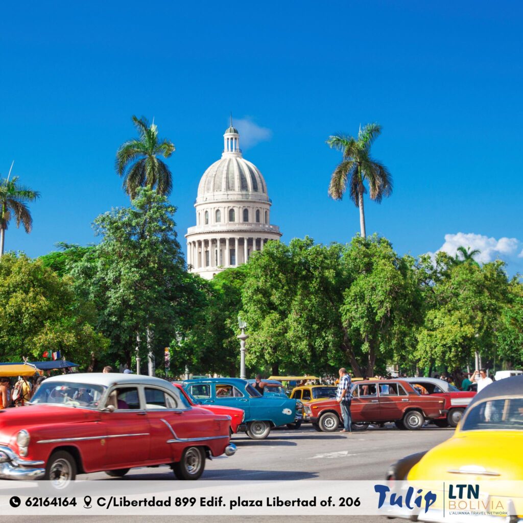 489201227_1217404033729072_1871626700135164178_n