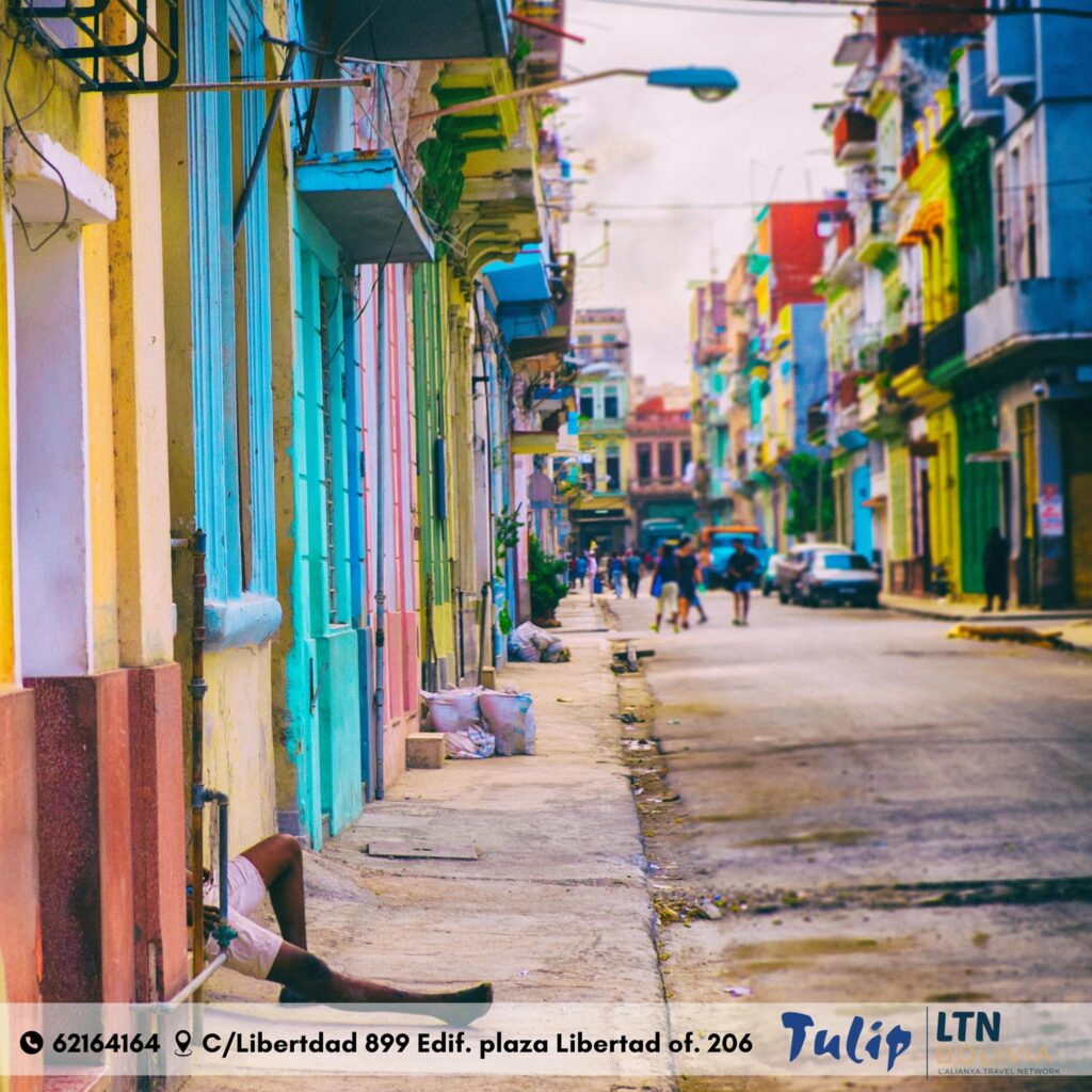 489241460_1217683680367774_1032507619131926187_n