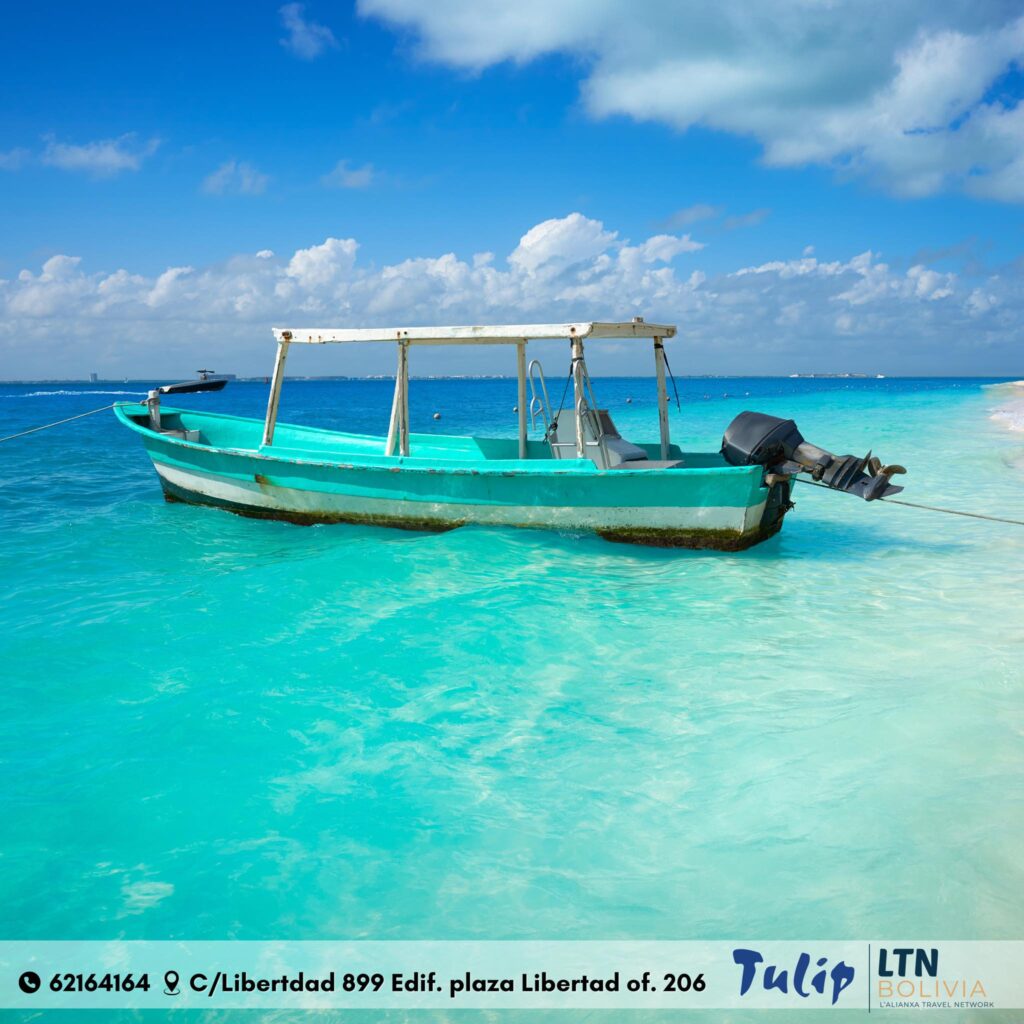 489425168_1217676720368470_1918391081071857960_n