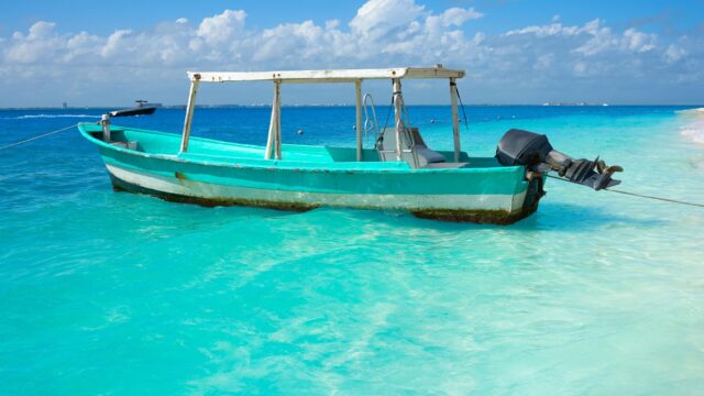 489425168_1217676720368470_1918391081071857960_n