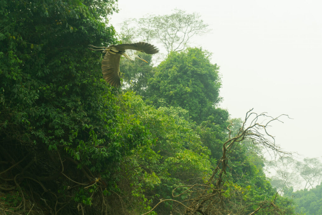 489573102_1144102514395868_6693936176019625294_n