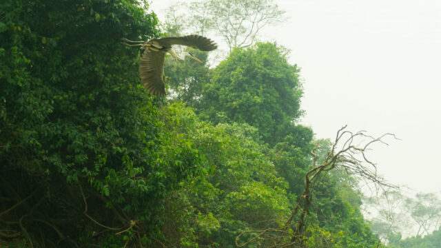 489573102_1144102514395868_6693936176019625294_n