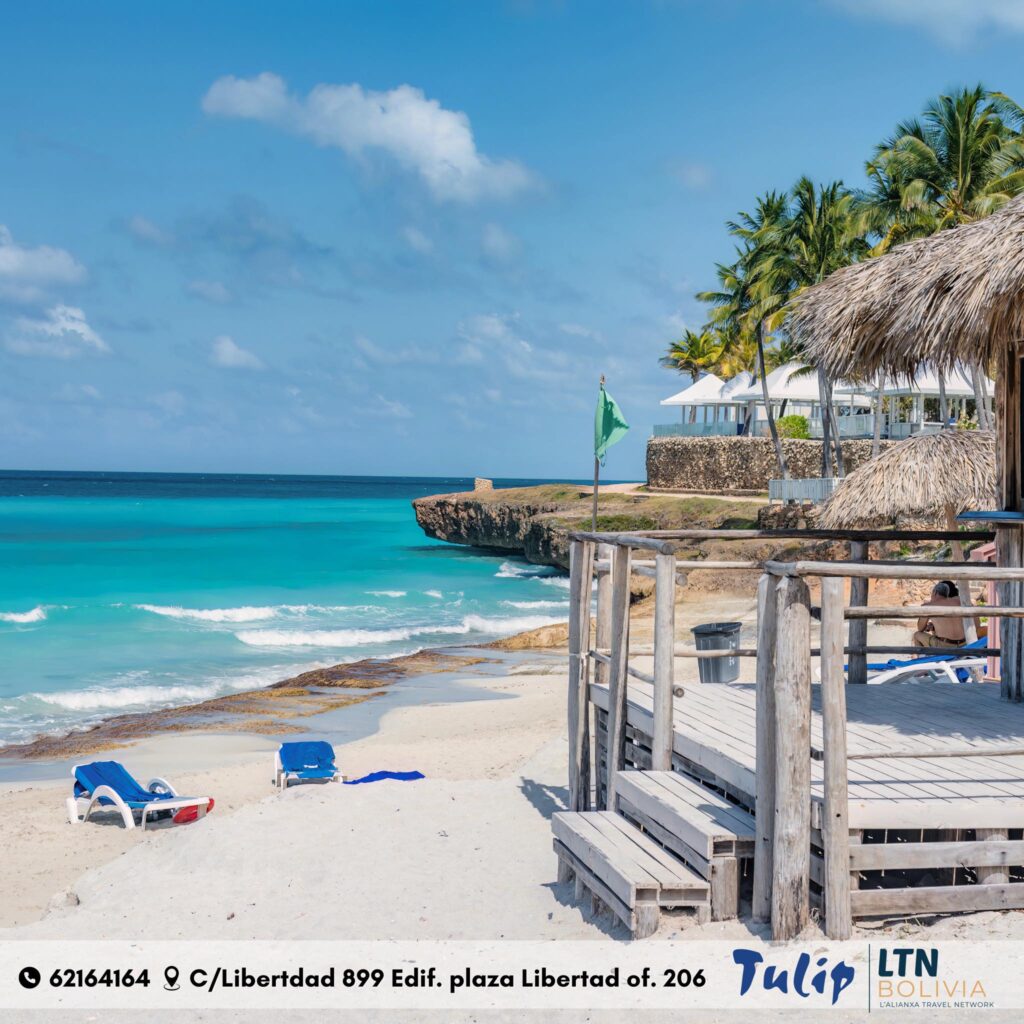 489630668_1217679080368234_3238702493746880291_n