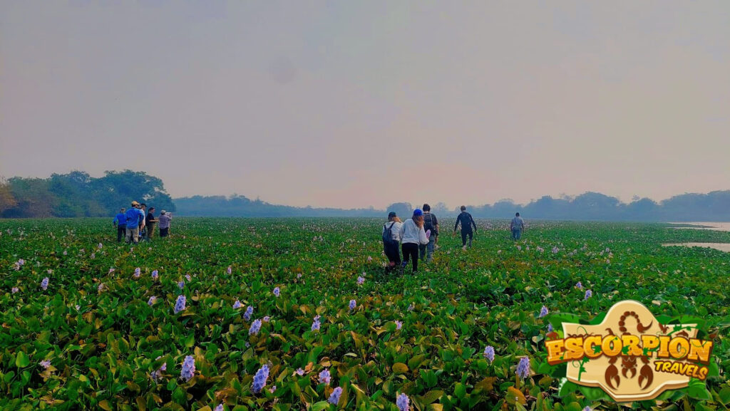 489755142_1144102494395870_2713063373273712290_n