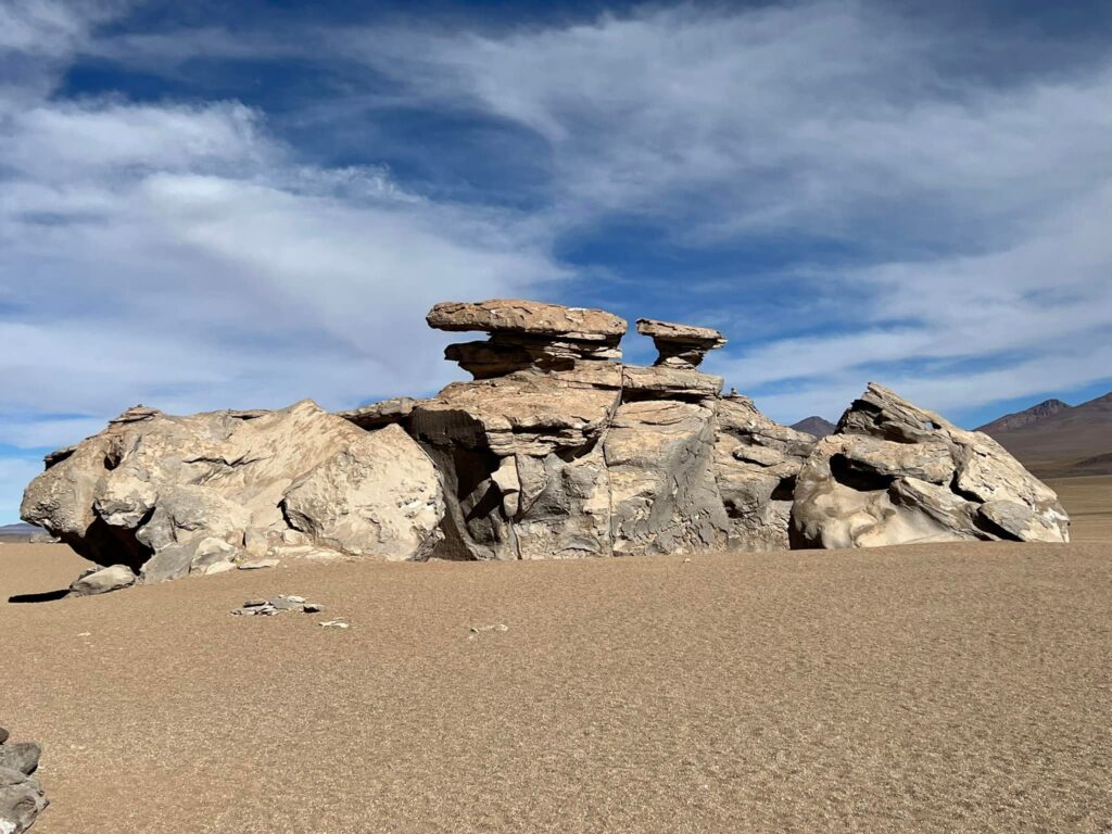 490063266_10233616042290389_7962282286820490612_n