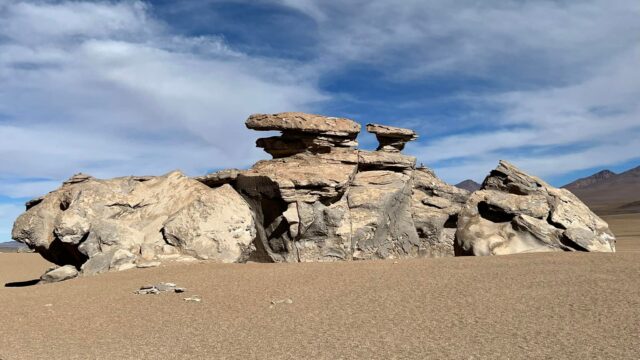 490063266_10233616042290389_7962282286820490612_n