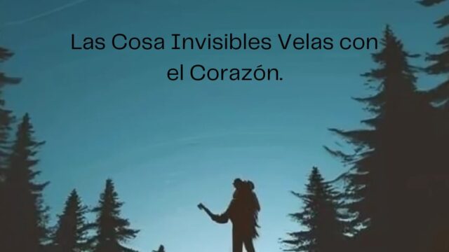 490225495_1150610090411060_2228804070571860812_n