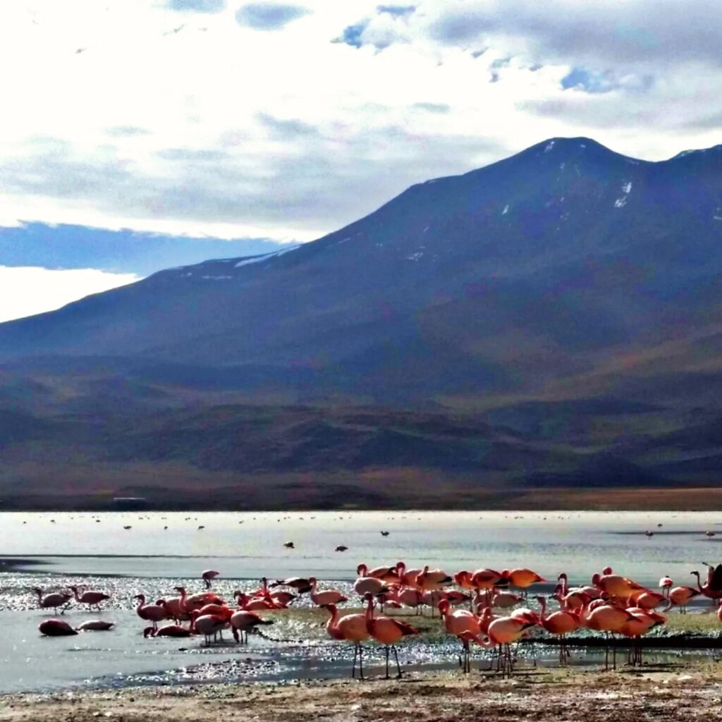 492373504_1266001592195009_1598328377587376577_n