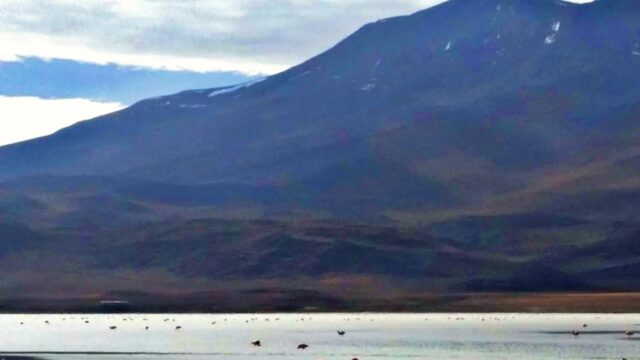 492373504_1266001592195009_1598328377587376577_n