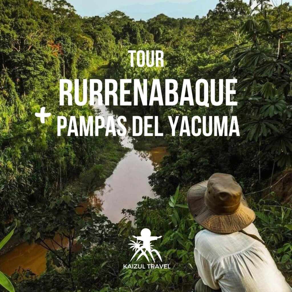 492540289_1195327569271283_3858395736375282031_n