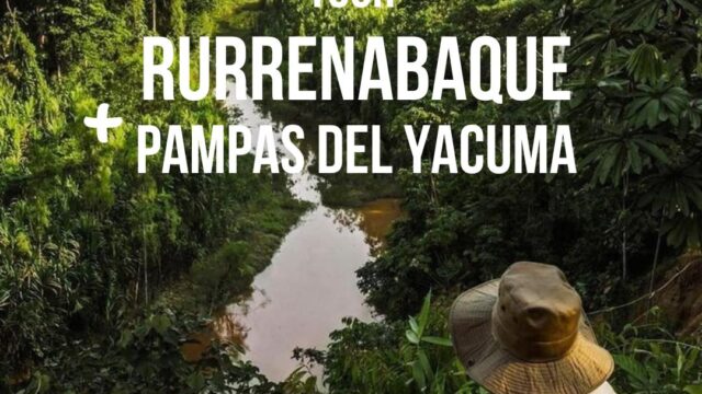 492540289_1195327569271283_3858395736375282031_n