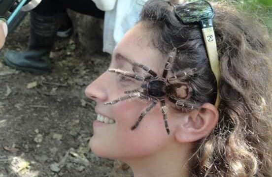 493666760_1476517763756490_4232886859983966283_n