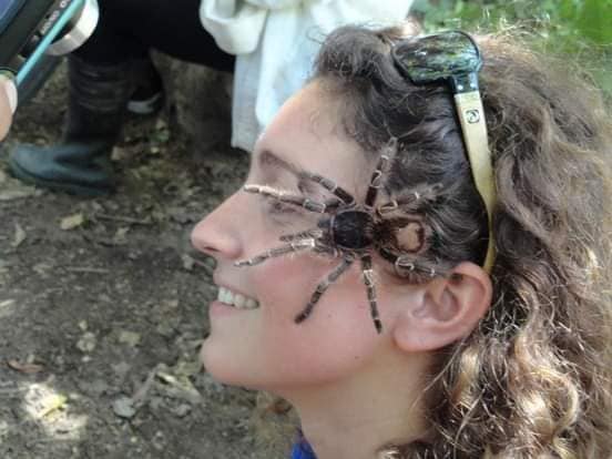 493666760_1476517763756490_4232886859983966283_n