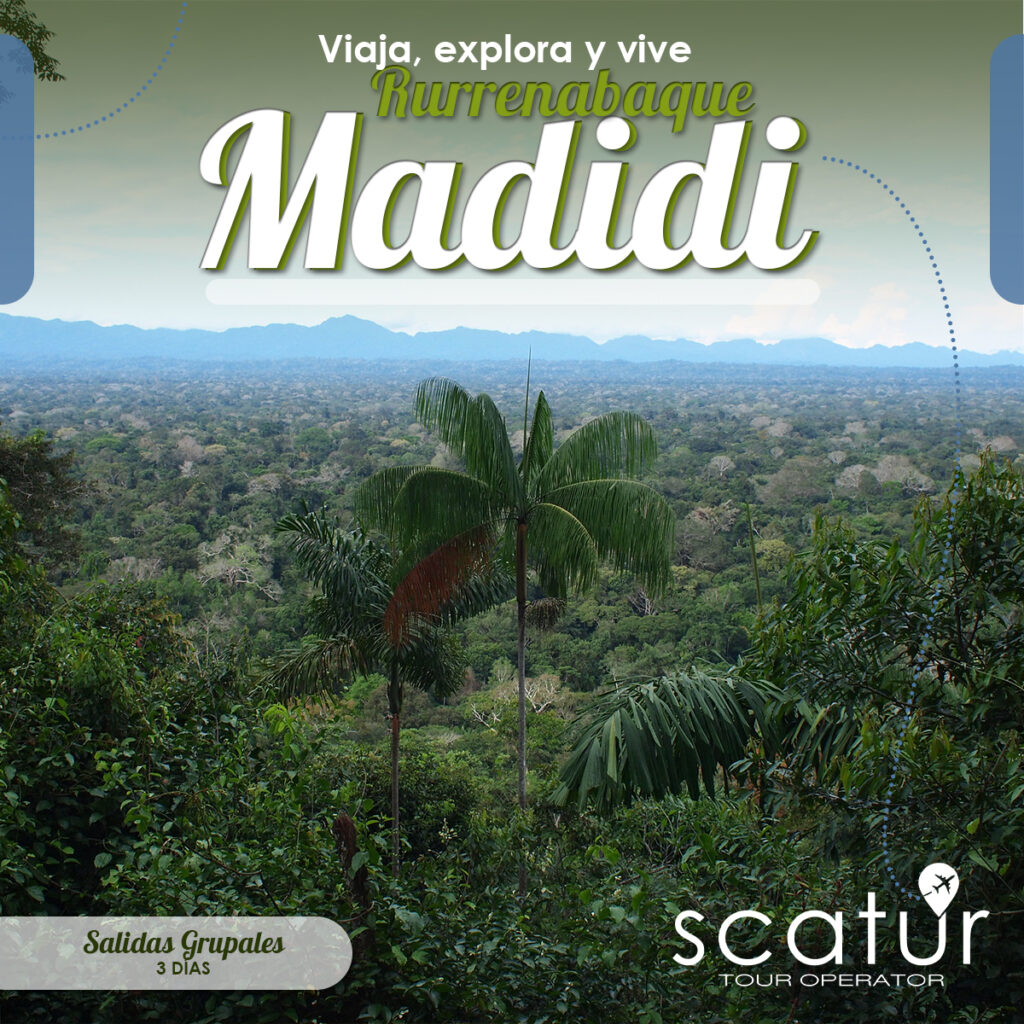 493811150_1224678389665778_4642825820710387512_n