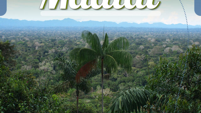 493811150_1224678389665778_4642825820710387512_n