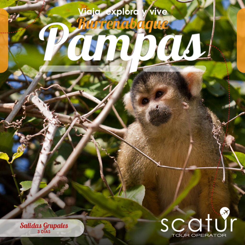 493861379_1224678162999134_5956083453860385597_n