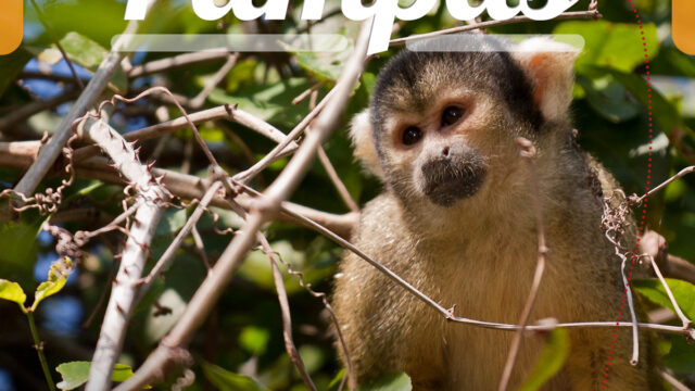 493861379_1224678162999134_5956083453860385597_n