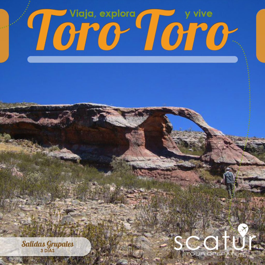 494052889_1224678426332441_1291414119935072569_n