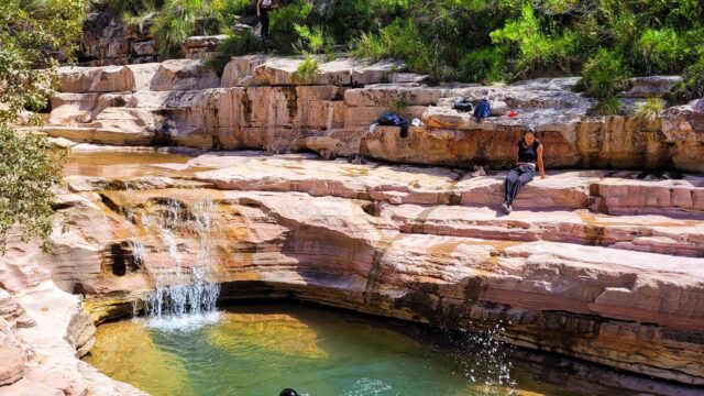 494187575_1195398205618129_8483649978265484167_n (1)