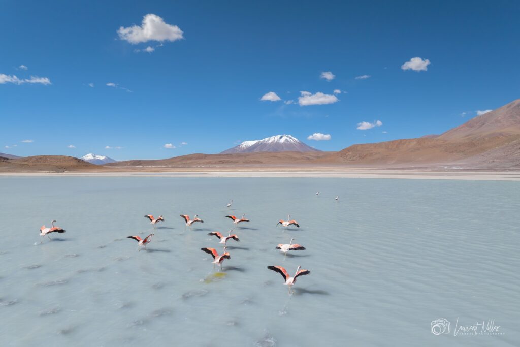 494913161_1238005138035212_5128884310407876196_n