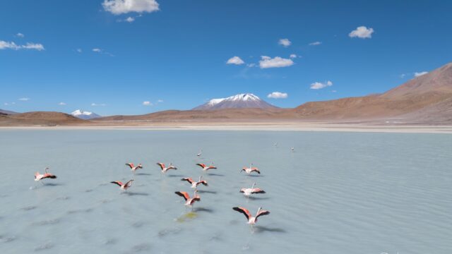 494913161_1238005138035212_5128884310407876196_n