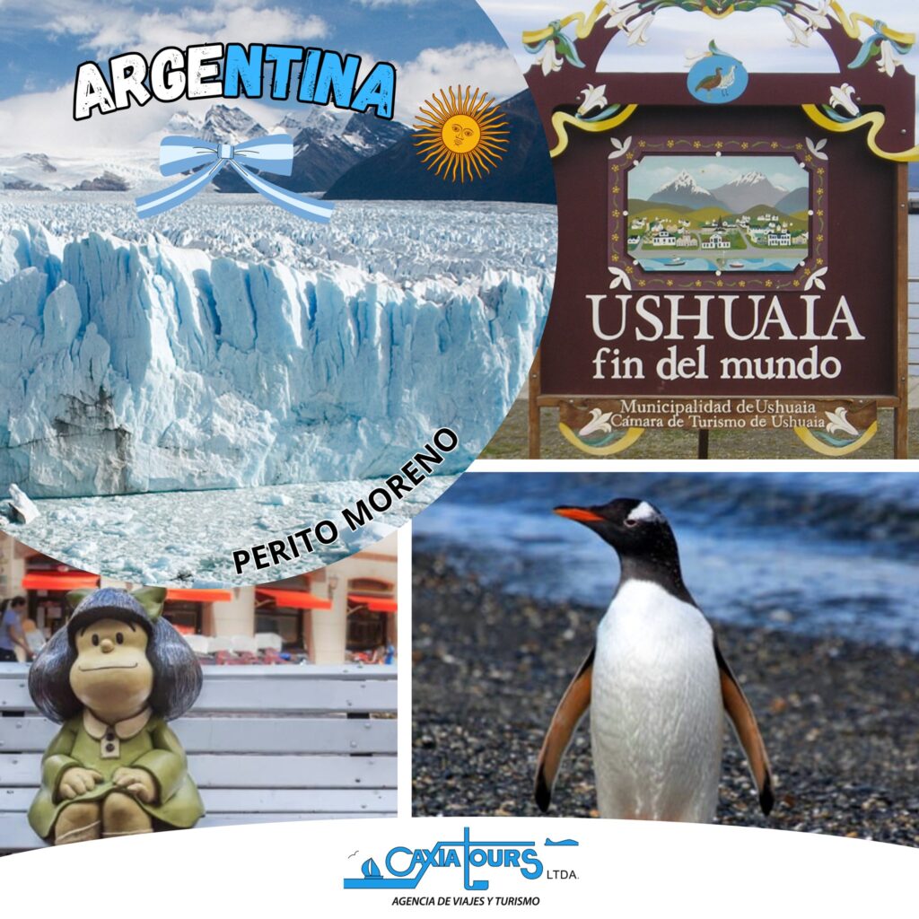 495448303_1256458443154186_8520963912881128074_n