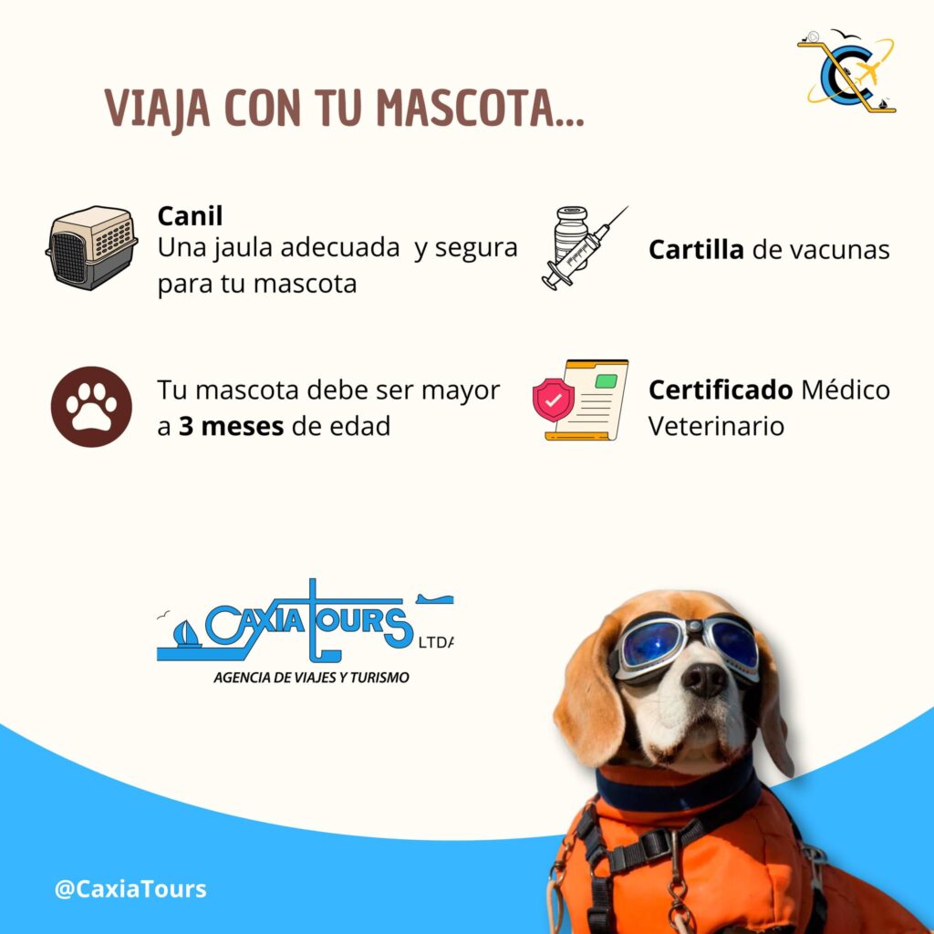 496844504_1255483603251670_1279383145986820946_n