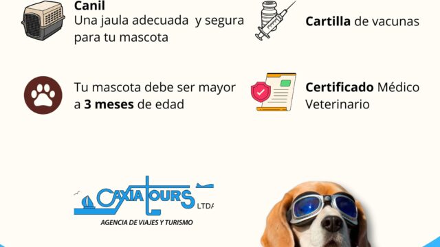 496844504_1255483603251670_1279383145986820946_n