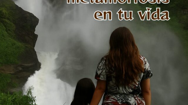 497544592_1117577807055832_2855613528347059741_n