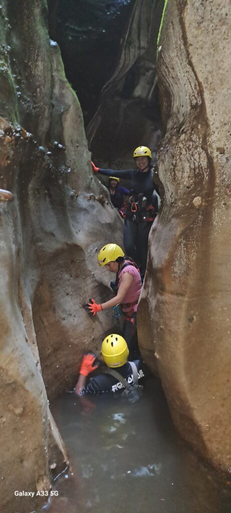 497727236_1247484074053681_7953011407630756703_n