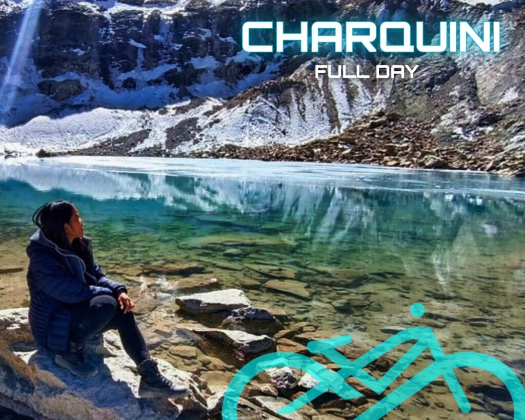 498173041_1209699007515140_6064408924769053504_n