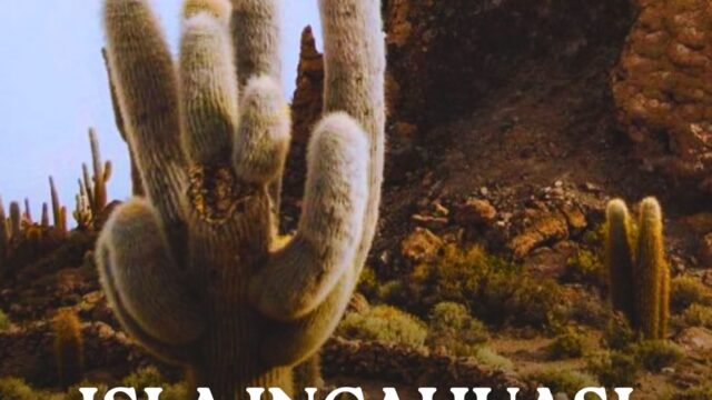 498334104_18275588665258187_4053762594834078888_n