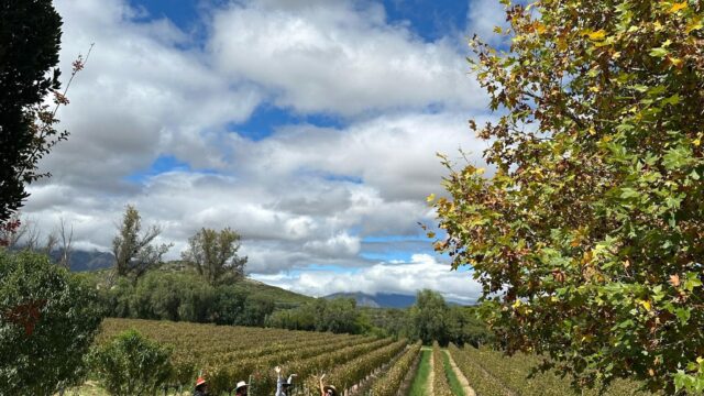 499126130_1085232030299912_1466480482190710180_n