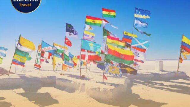 499550878_707000781827461_7440831484335293610_n