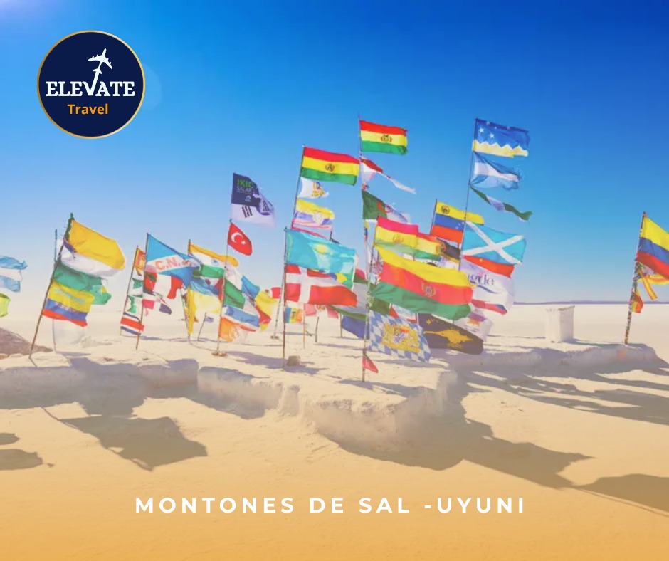 499550878_707000781827461_7440831484335293610_n