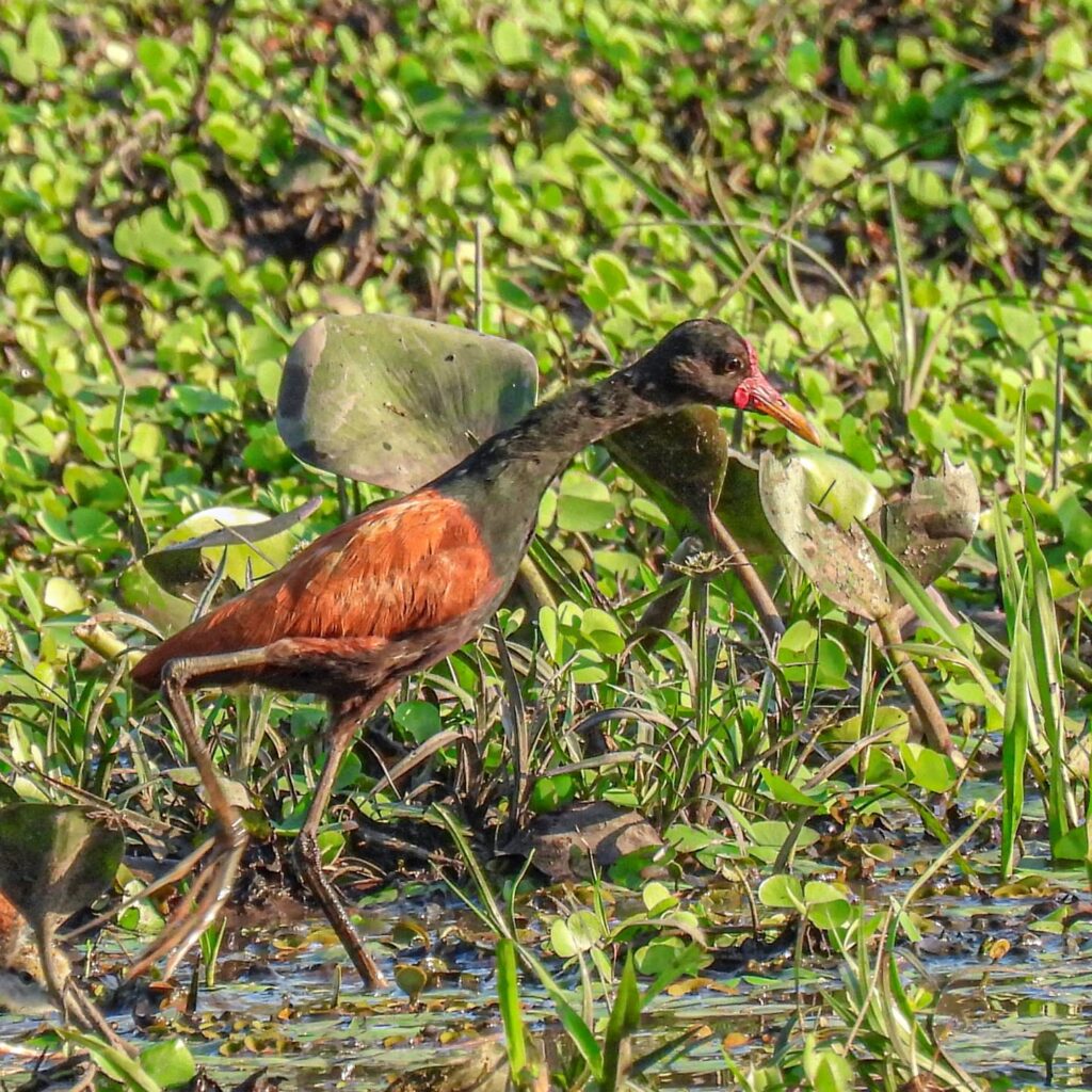 499650326_1248973473458713_1118568210508341520_n