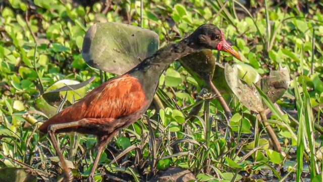 499650326_1248973473458713_1118568210508341520_n