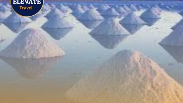 499779733_707000751827464_1910543012128233359_n