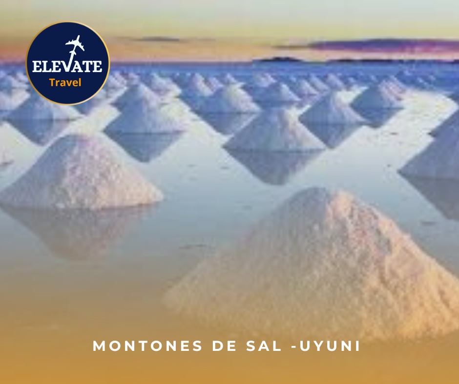 499779733_707000751827464_1910543012128233359_n