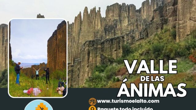 499873771_1246497900372937_3464636930407064013_n