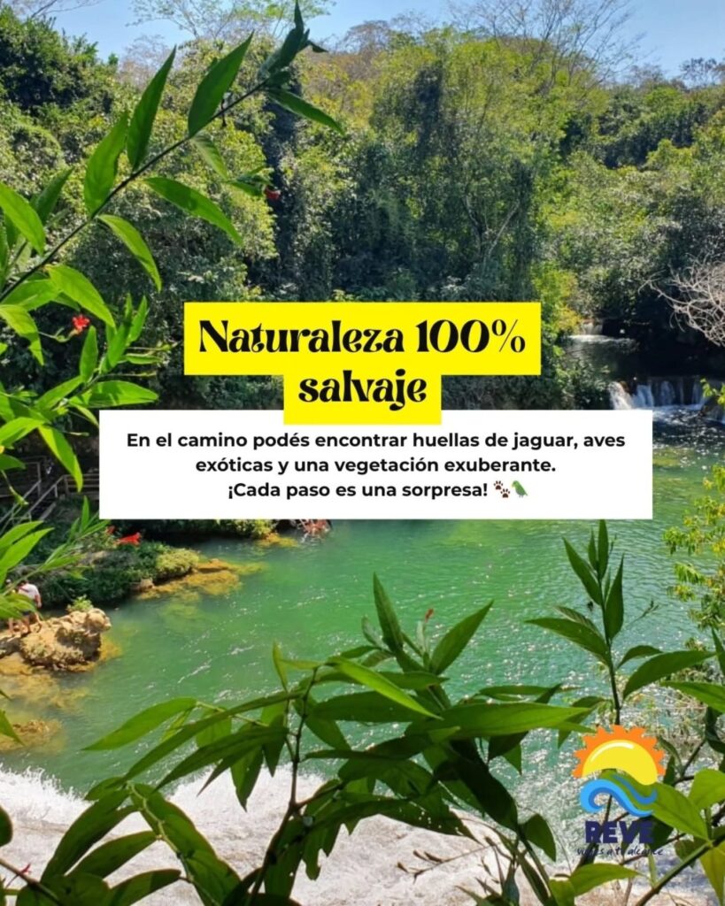 500127860_18323013187207066_1095694871041939676_n