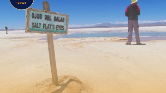 500274831_707000685160804_8023373452883028172_n