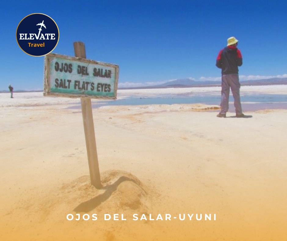 500274831_707000685160804_8023373452883028172_n