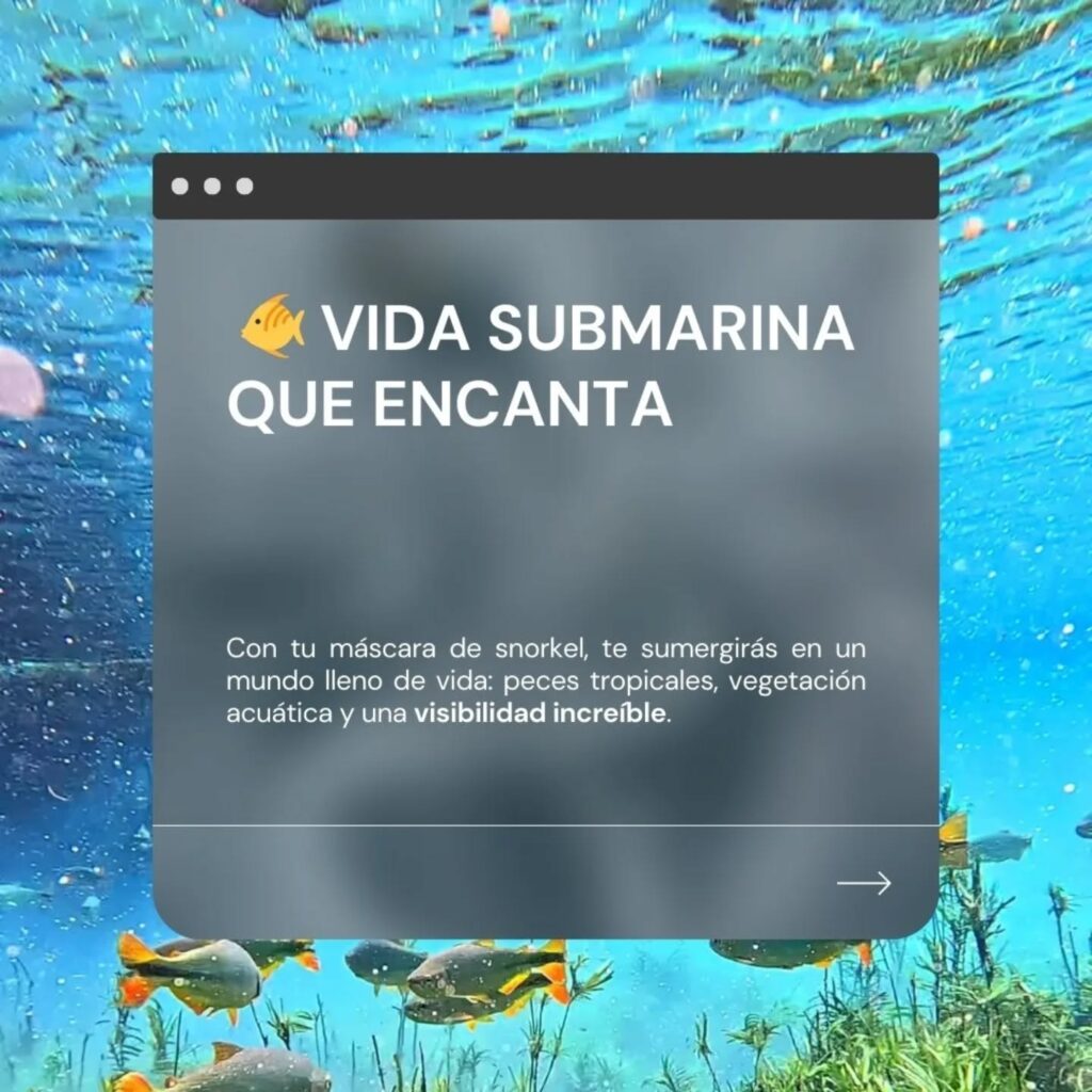 500529310_18323140285207066_3461650235077143080_n