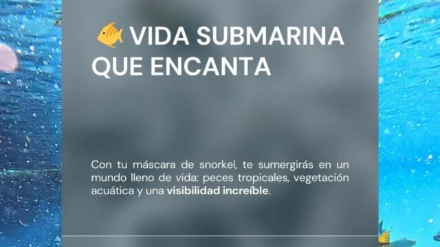 500529310_18323140285207066_3461650235077143080_n