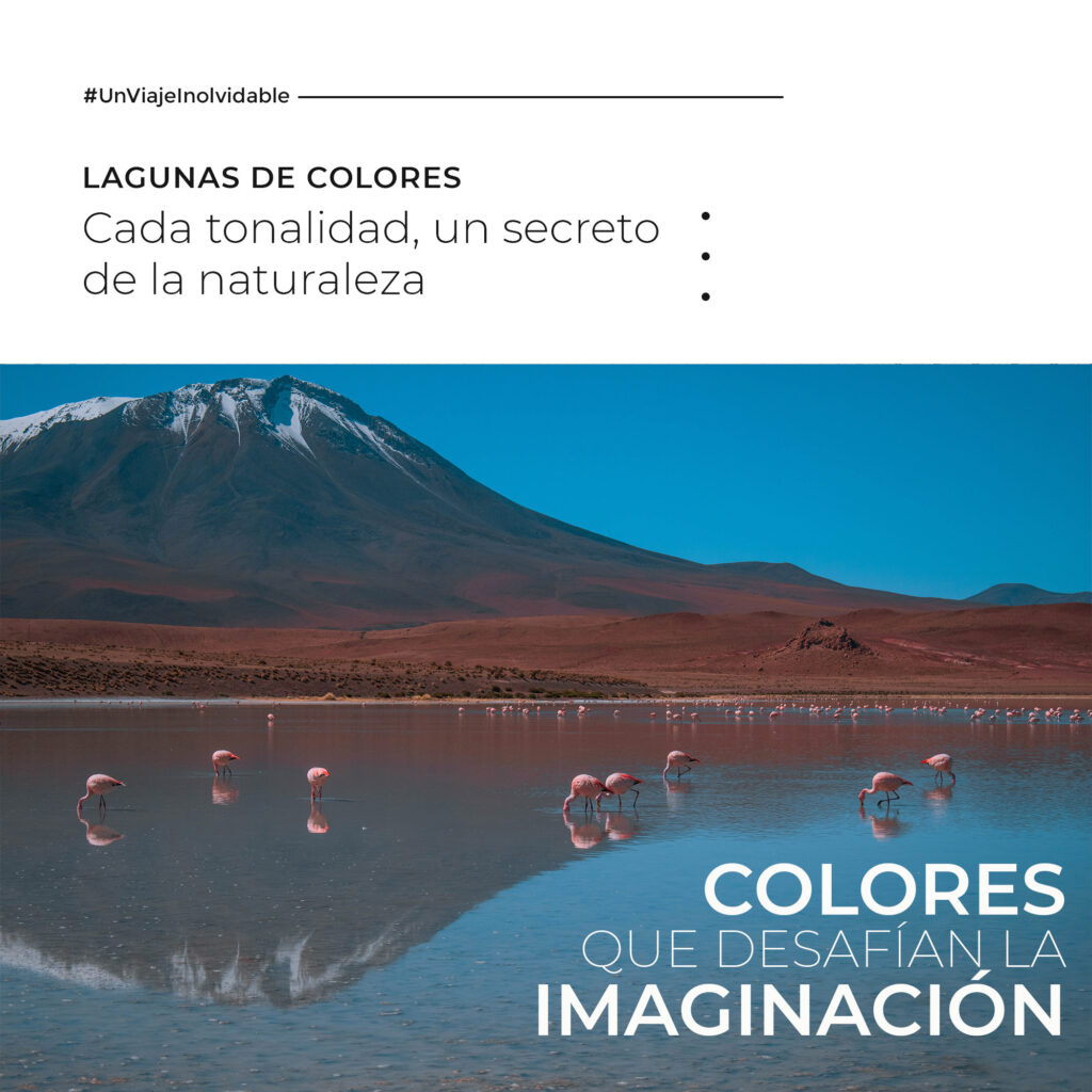 500740387_1568891274287510_7906037816255547193_n